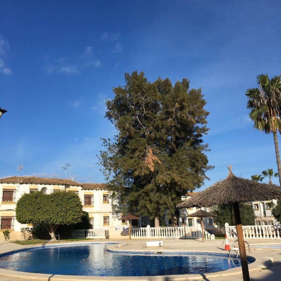 El Mirador, Villamartin, Cot To Hire, Wifi, Pool, Parking Eksteriør bilde